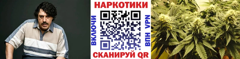 ГАШ Чистополь